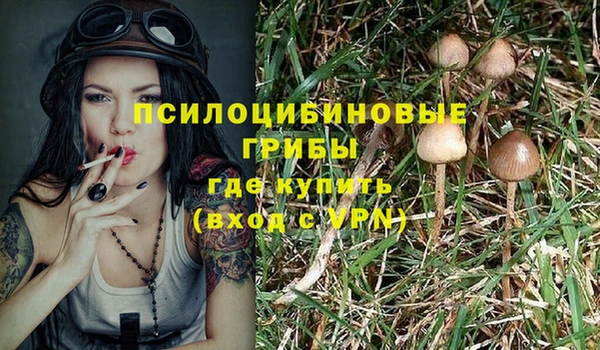 гашиш Бородино
