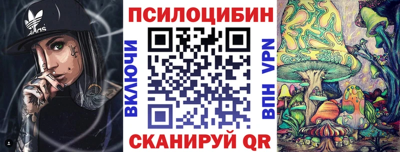 Псилоцибиновые грибы Psilocybine cubensis  купить   Минеральные Воды 